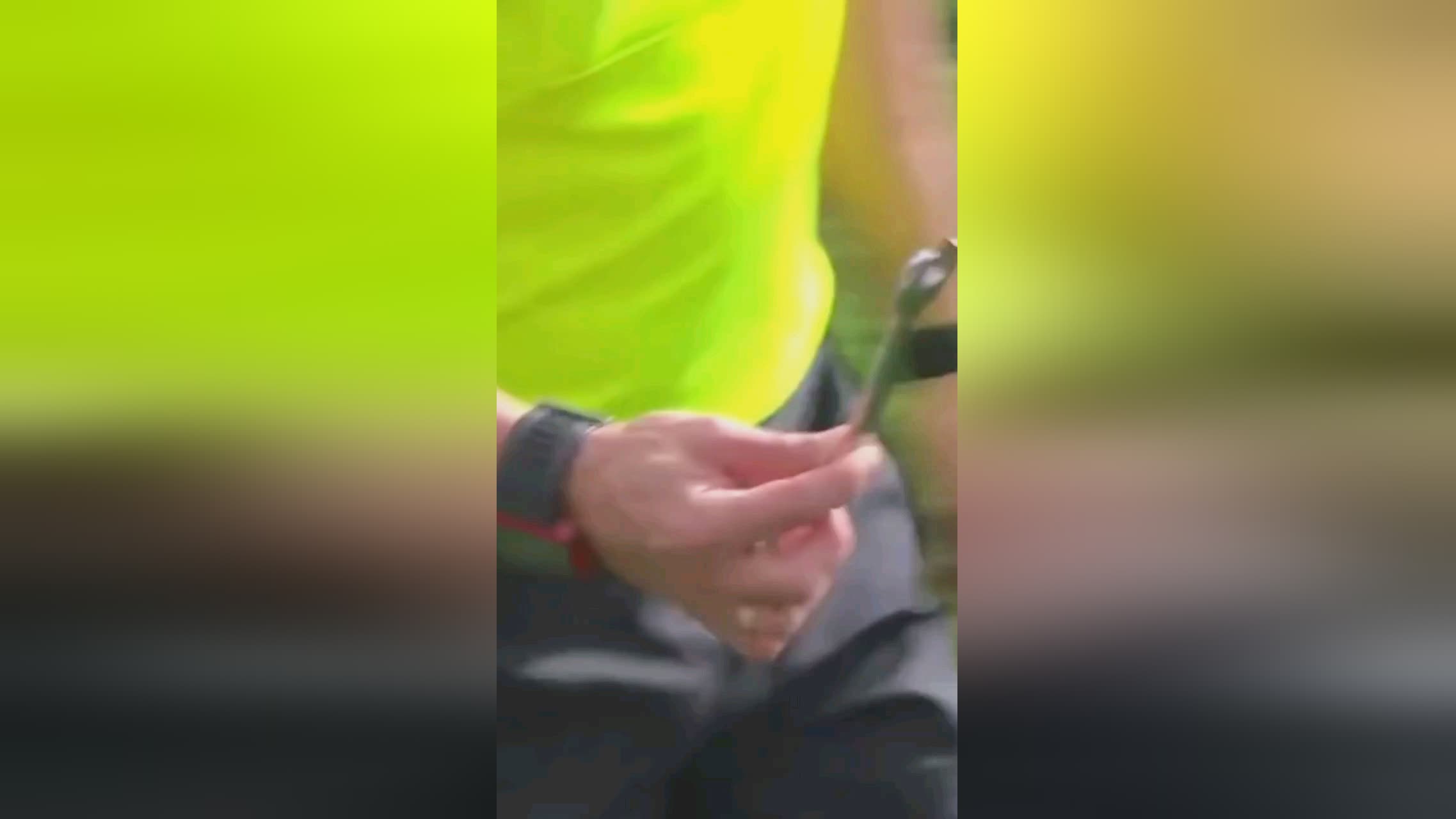 了新的活力